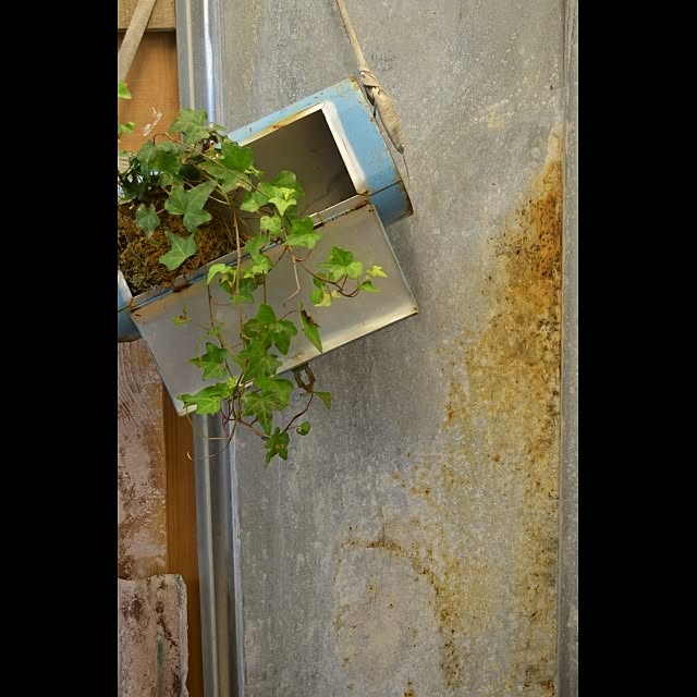 GreenWorksさんの実例写真