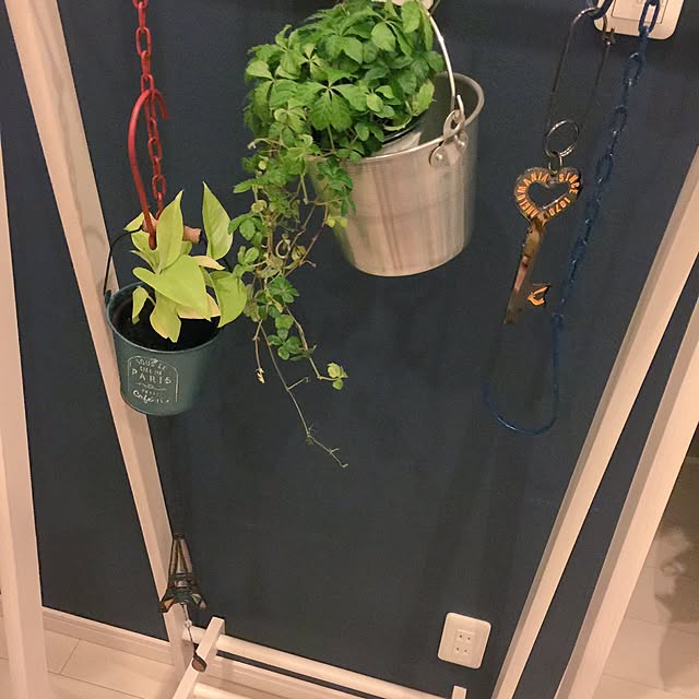 q_yamさんの実例写真