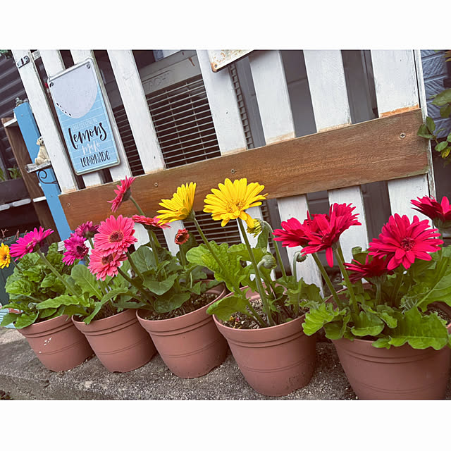 CoCo0617さんの実例写真