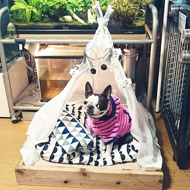 maiさんの実例写真