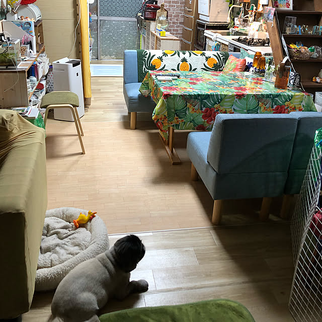 Kammiさんの実例写真