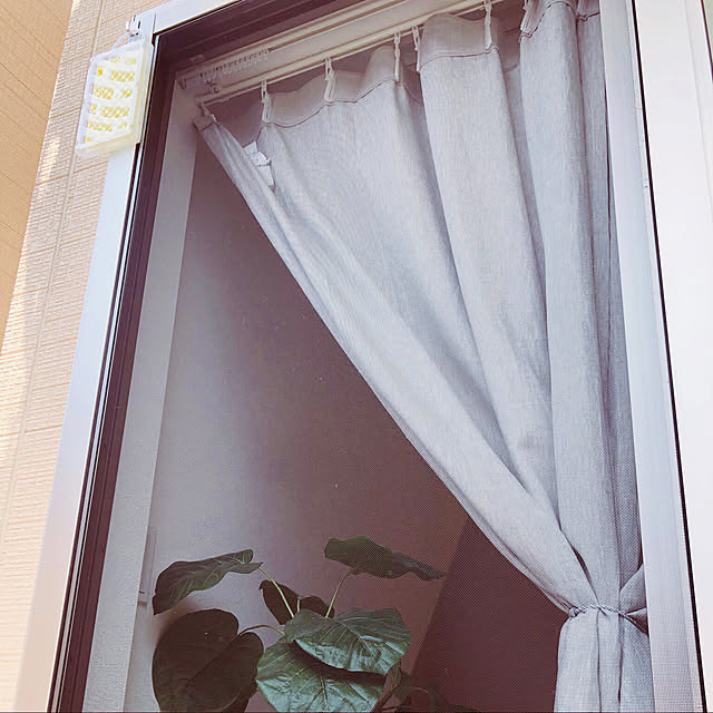 sacchiさんの実例写真
