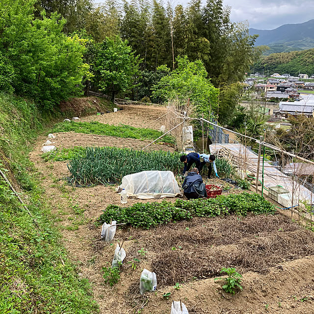 koshiregutyoさんの部屋