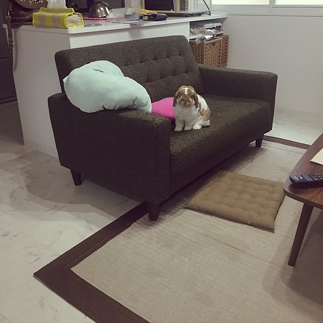 kanonさんの実例写真