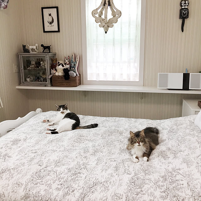 yuchiさんの実例写真