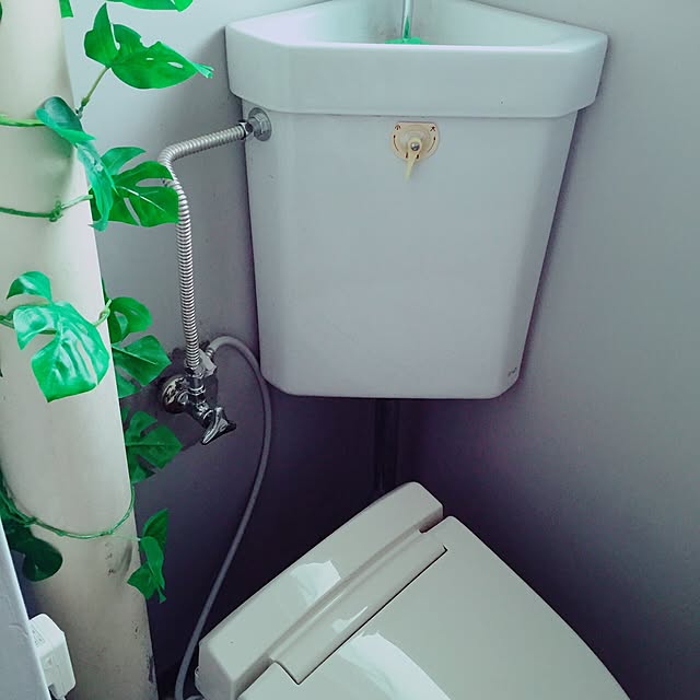 Yuiさんの実例写真