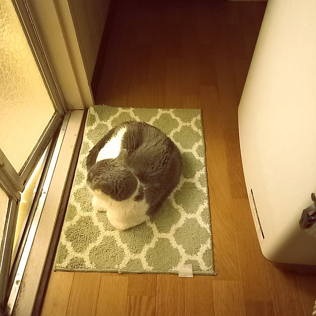 rhuさんの実例写真