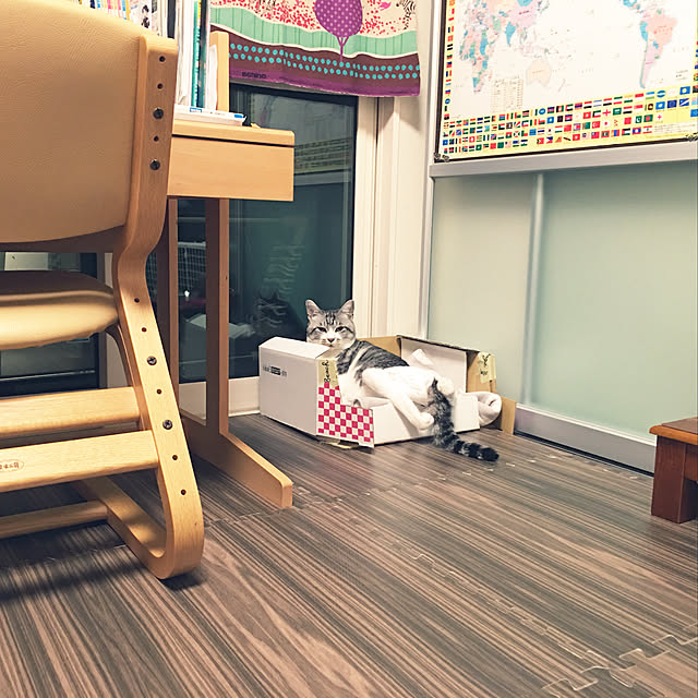 ALPSさんの実例写真