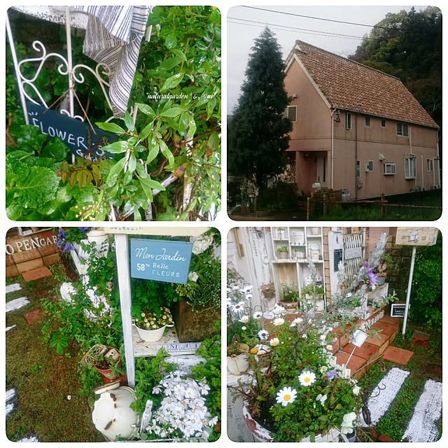 whiteroseさんの実例写真