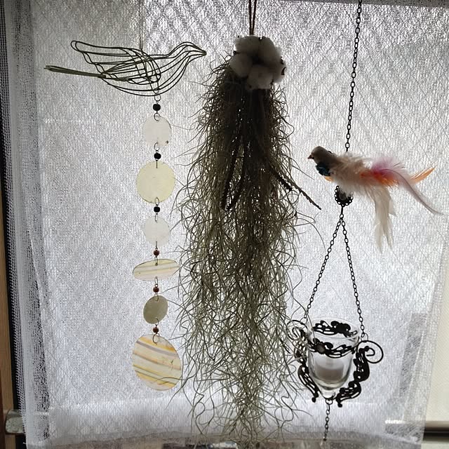 lovelinさんの実例写真
