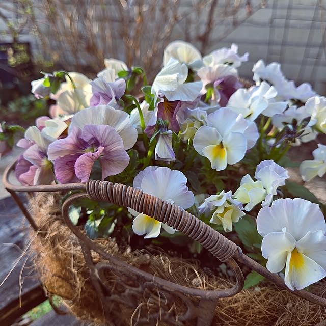 min_nimさんの部屋