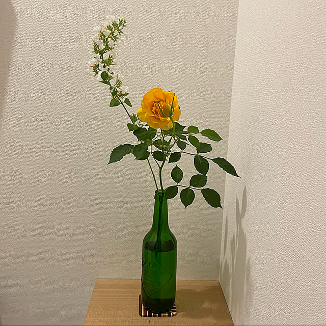Shunkichiさんの実例写真