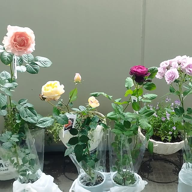 hiromimiさんの部屋