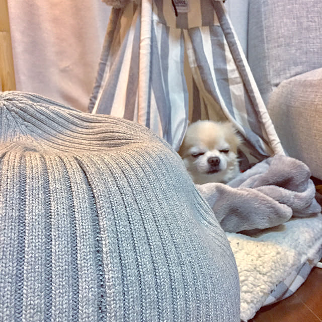 ponさんの実例写真