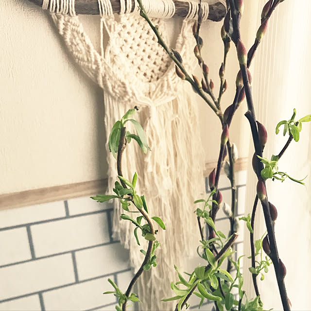 adgjmptwさんの実例写真