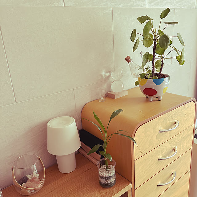 yoneさんの実例写真