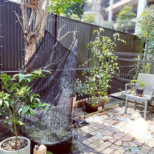 noahさんの実例写真