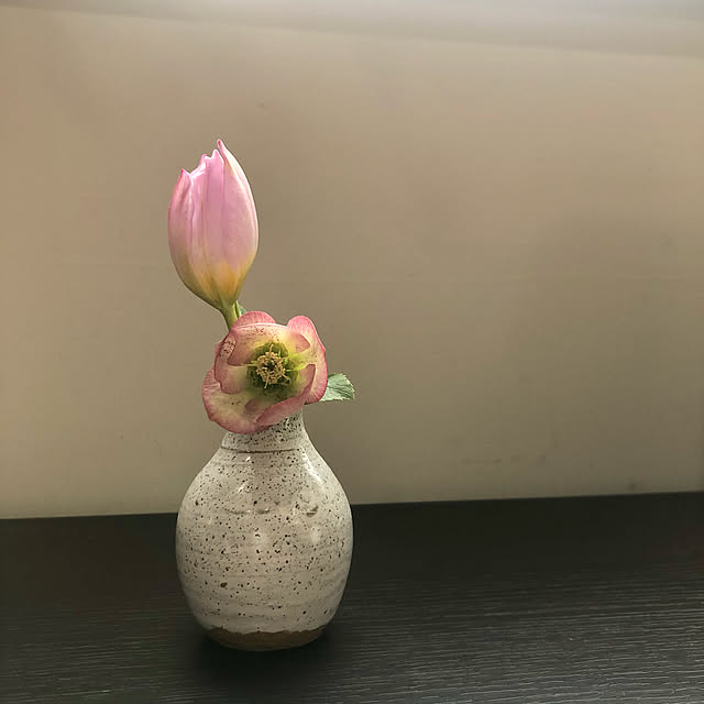mutsuさんの実例写真