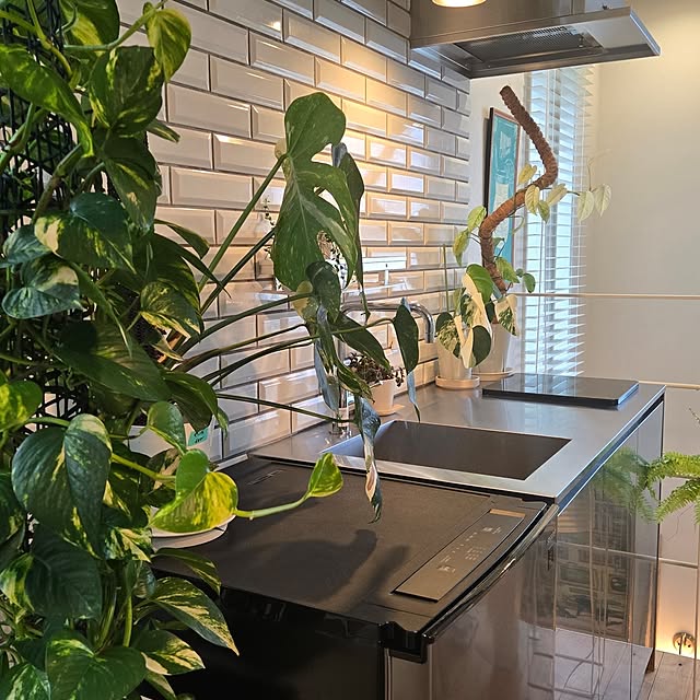 nonbiri_house_さんの部屋