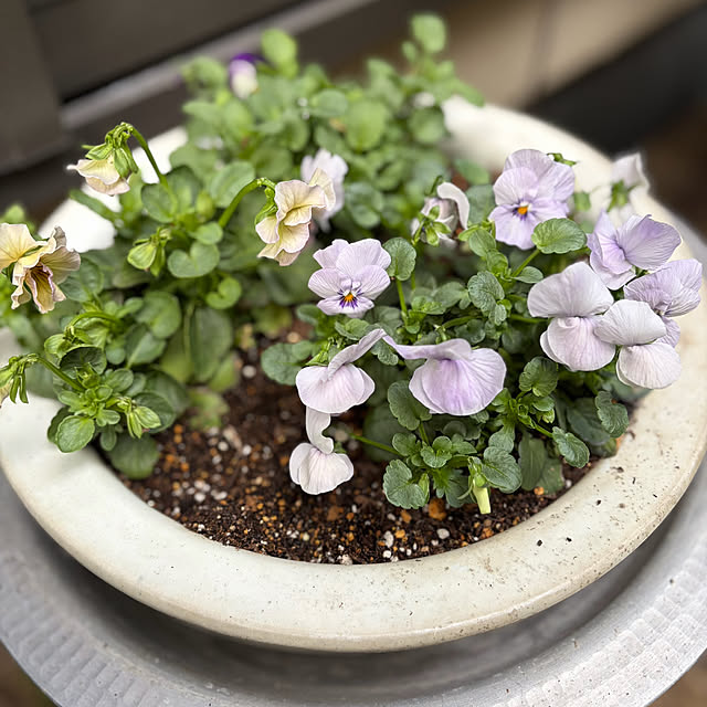 buchiさんの部屋