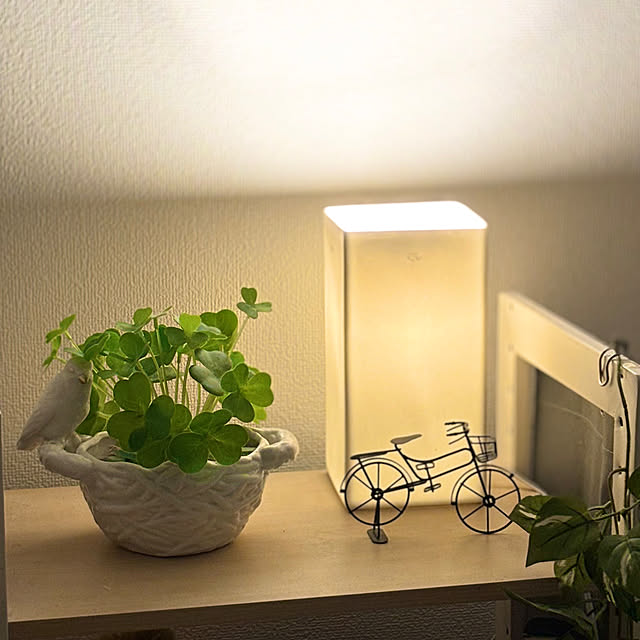 KNさんの実例写真