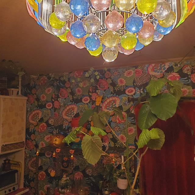 kumutanさんの部屋