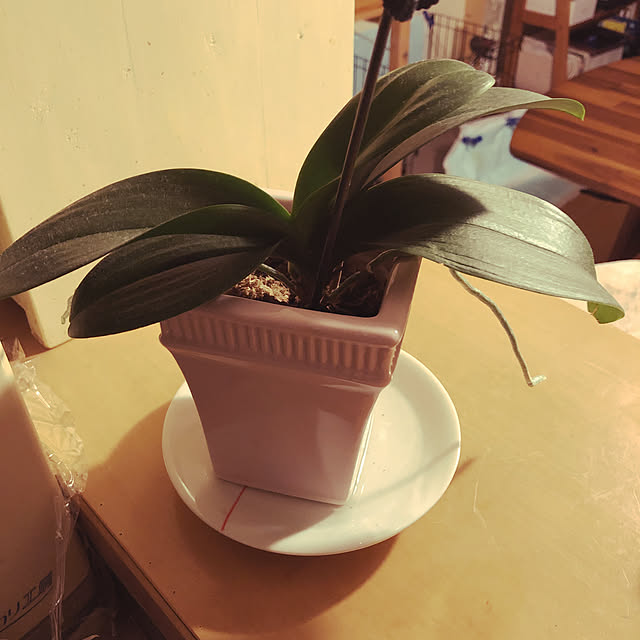 HIDEG5555さんの実例写真