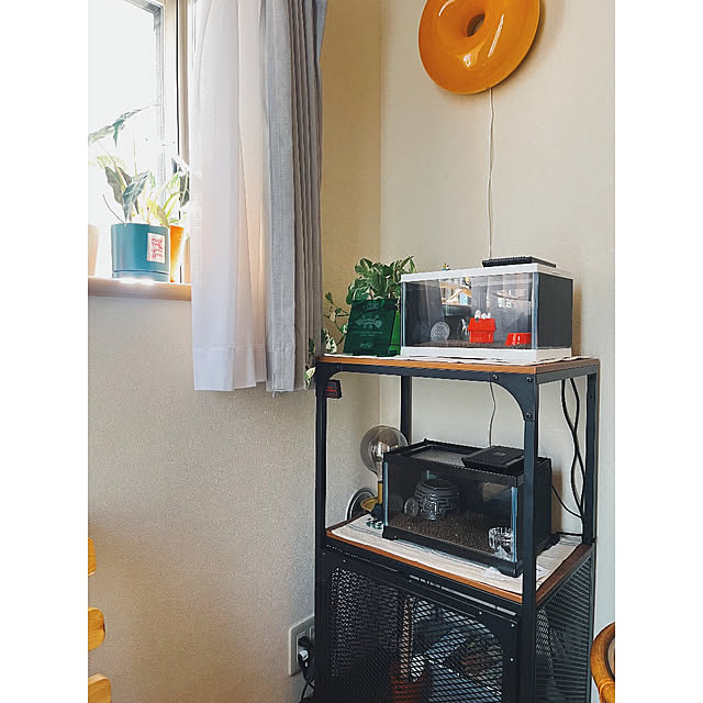 w_end_0625さんの実例写真