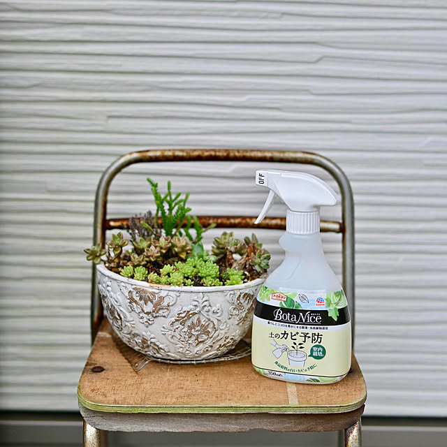 mikigumaさんの部屋