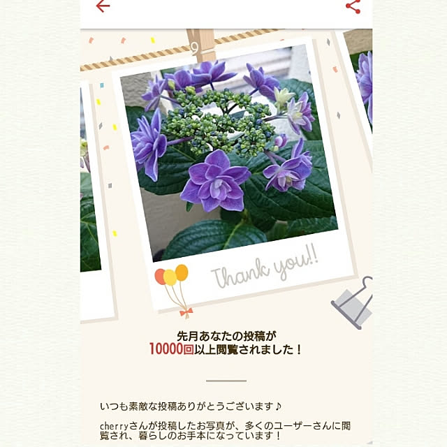 cherryさんの実例写真