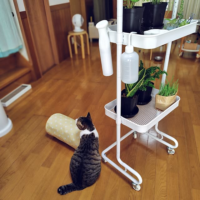 nachiさんの部屋