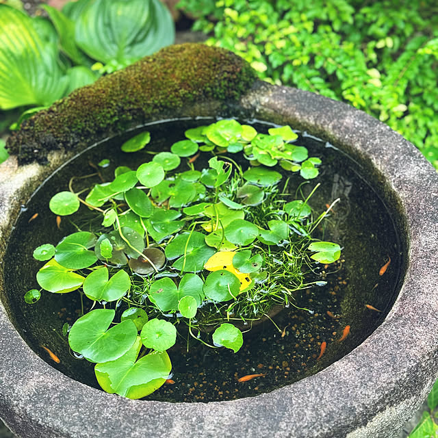 onsix777さんの部屋