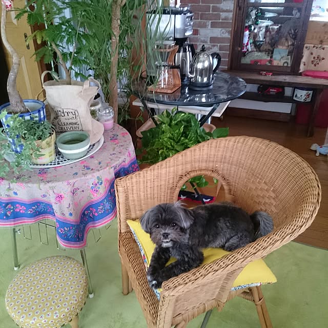 asaさんの実例写真