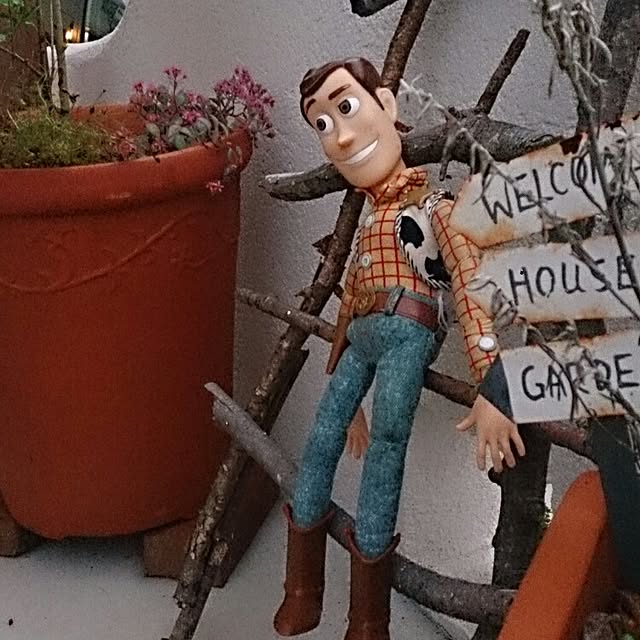 comiriさんの実例写真