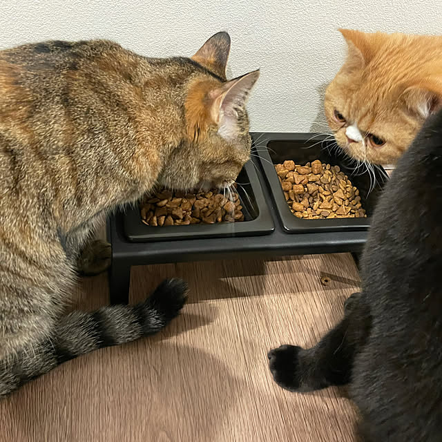 jijicoさんの実例写真