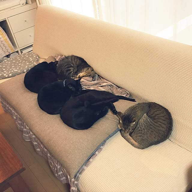 yuki0511さんの実例写真
