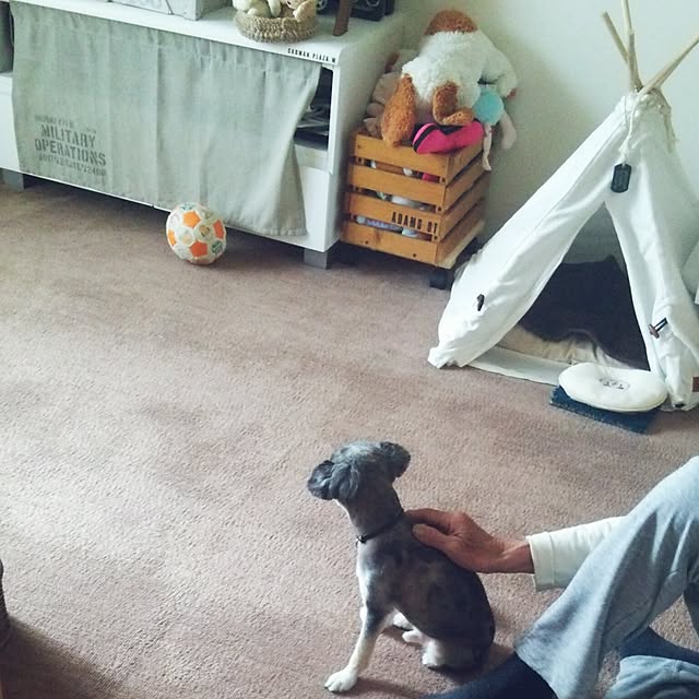 satominさんの実例写真
