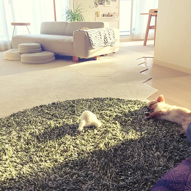 haruhinaさんの実例写真