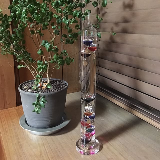 kamekamemamaさんの実例写真