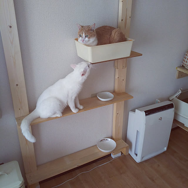 kumaさんの実例写真