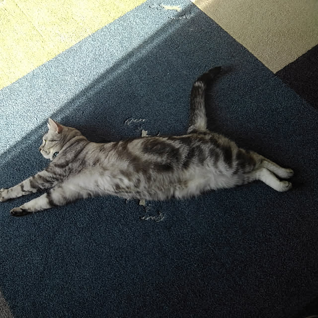 NANACOCOさんの実例写真