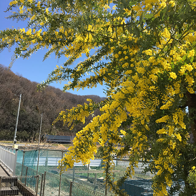 tomonagaさんの実例写真