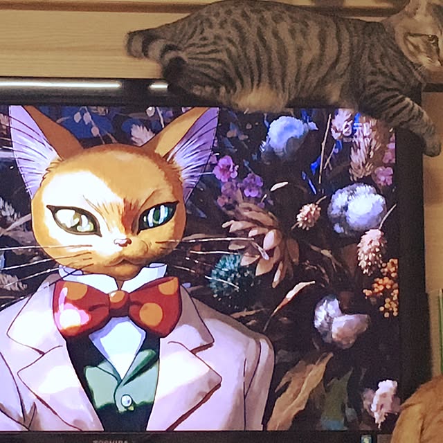 baronkotarouさんの実例写真