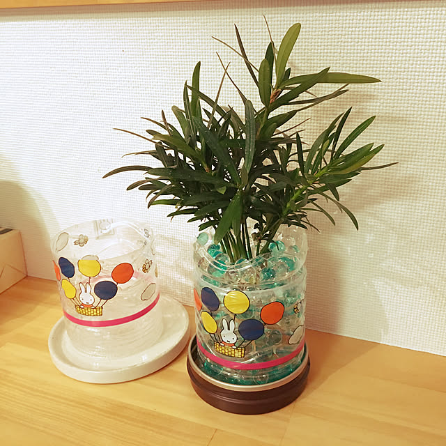 Asukaさんの実例写真