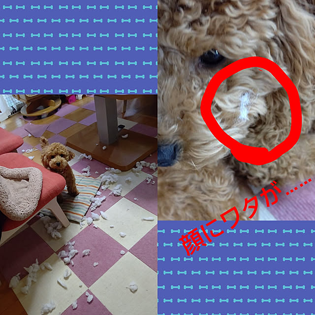 yumirinさんの実例写真