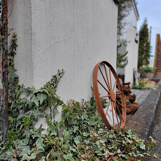 reireiさんの実例写真