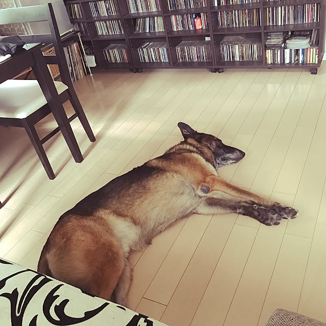 kepikoさんの実例写真