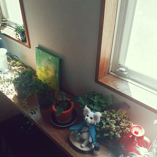 maosa1019さんの実例写真