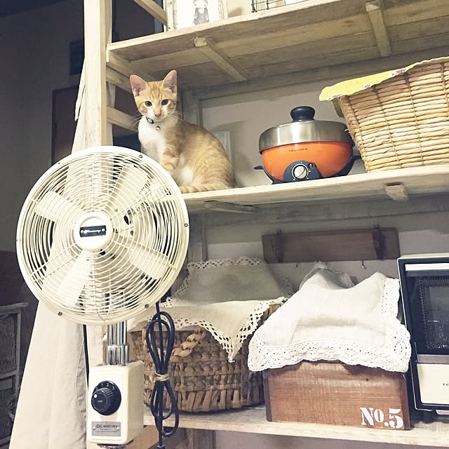 latteさんの実例写真