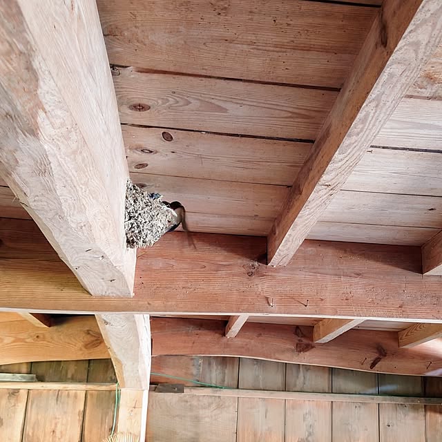 kikuさんの実例写真